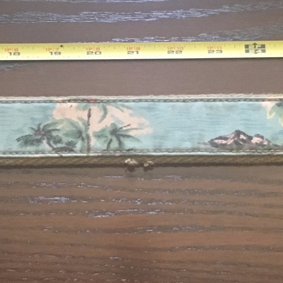 American Eagle Distressed Belt - Picture 4 of 8